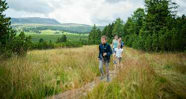 Die Hochmoore auf der Villanderer Alm